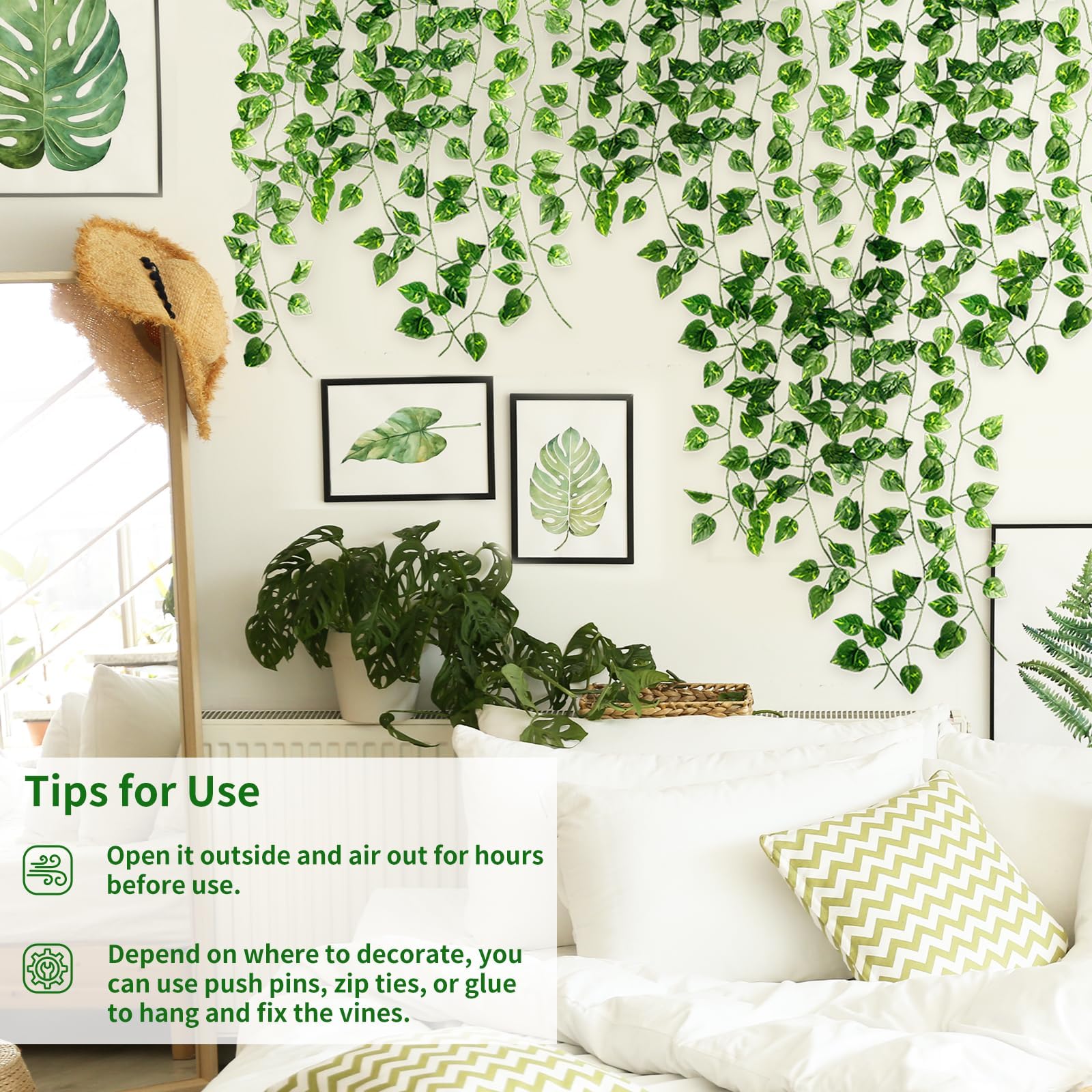was ist ein drachenbaum Drachenbaum Dracaena in gärtnerischer Qualität kaufen main image 1