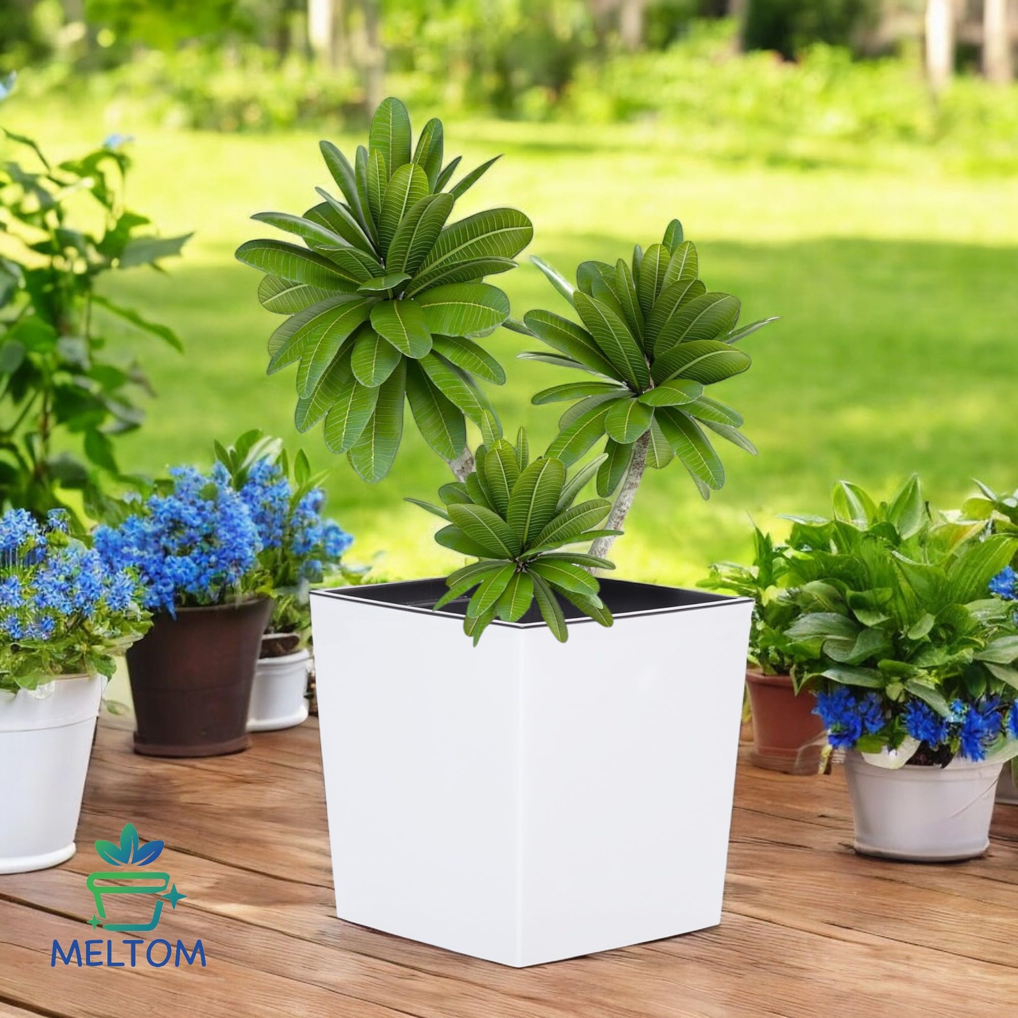 MelTom, Fioriera con Sistema di irrigazione in plastica, in Colore Lucido: Bianco, con Scomparto Rimovibile, Misure in cm: 40 x 40 x 41 cm - XXL