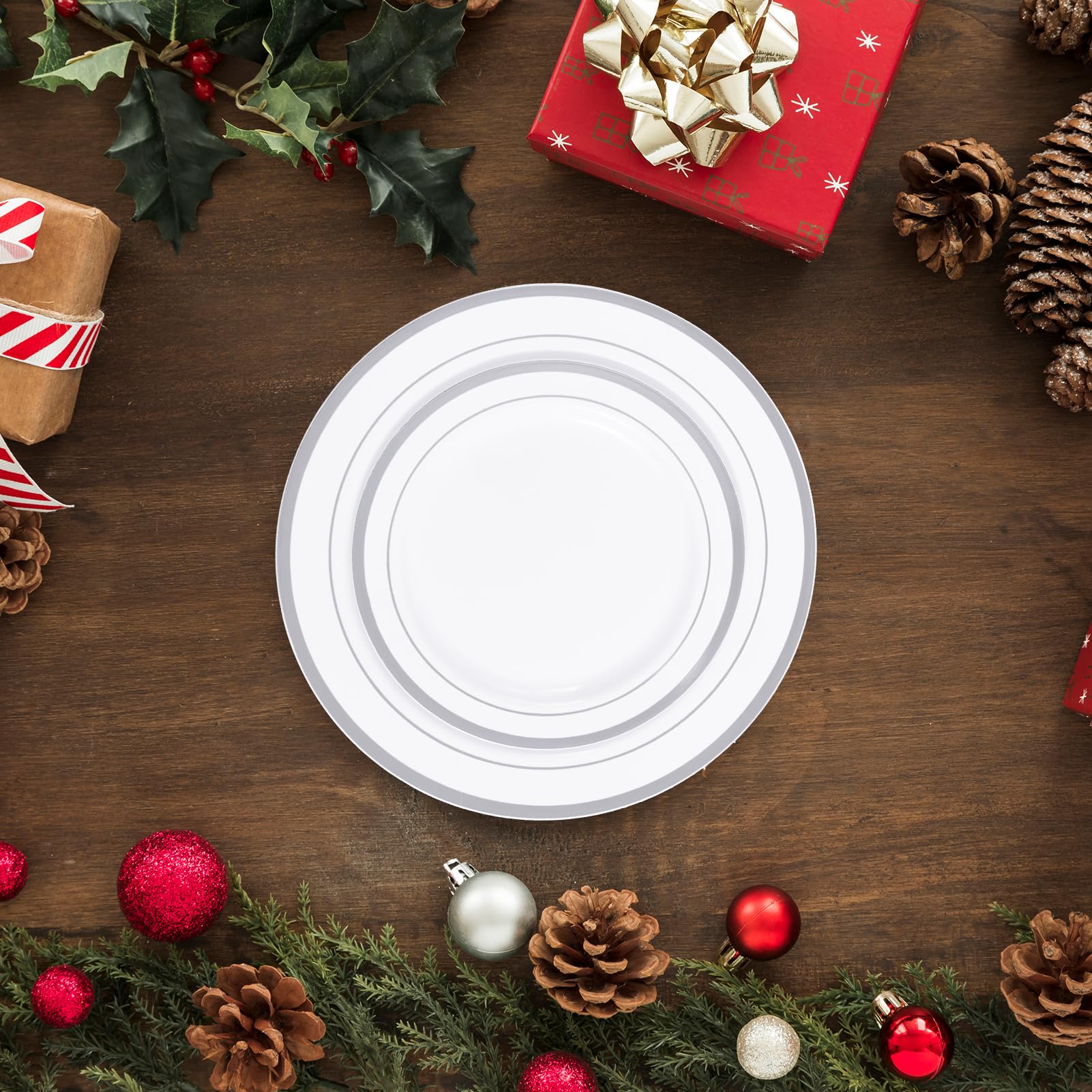 Disposable Silver Plates - 100 Pack -9