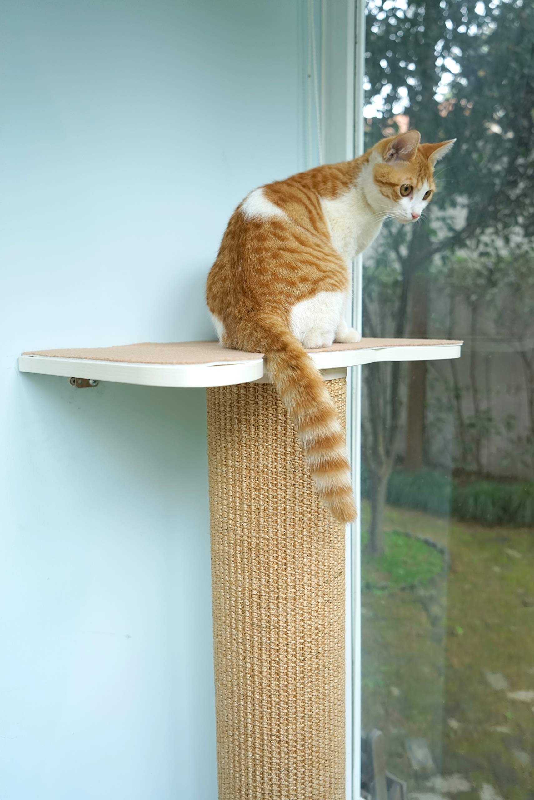 CatS Design Katzen Kletterwand große Katzen stabil- Wandkratzbaum-Wandliege-Wand Kratzsäule-Kratzstamm-Wandpark-Wandbett-Kletterstufen- Wandelemente-Wandstepp-F5 XXL