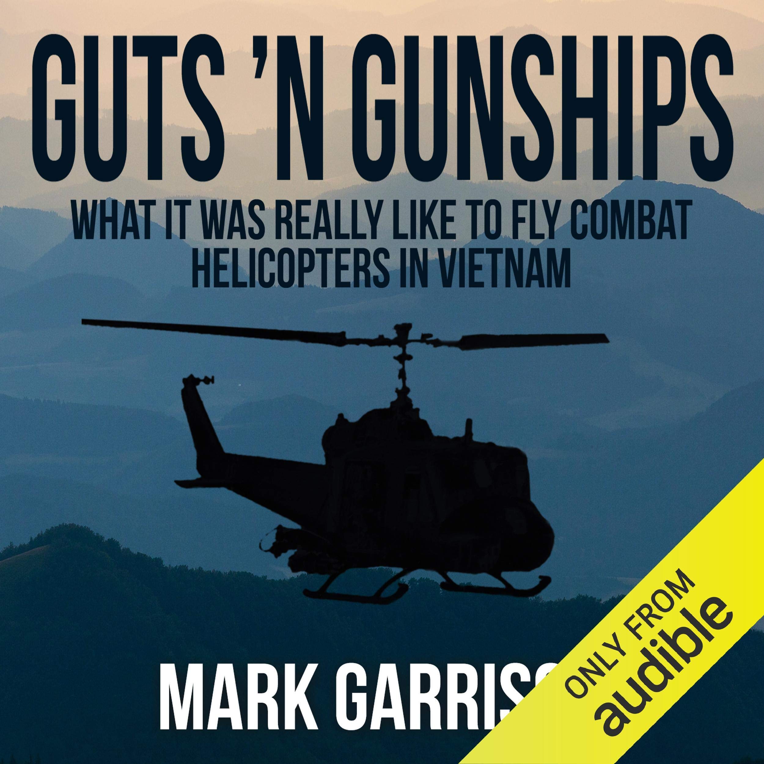 Guts 'N Gunships