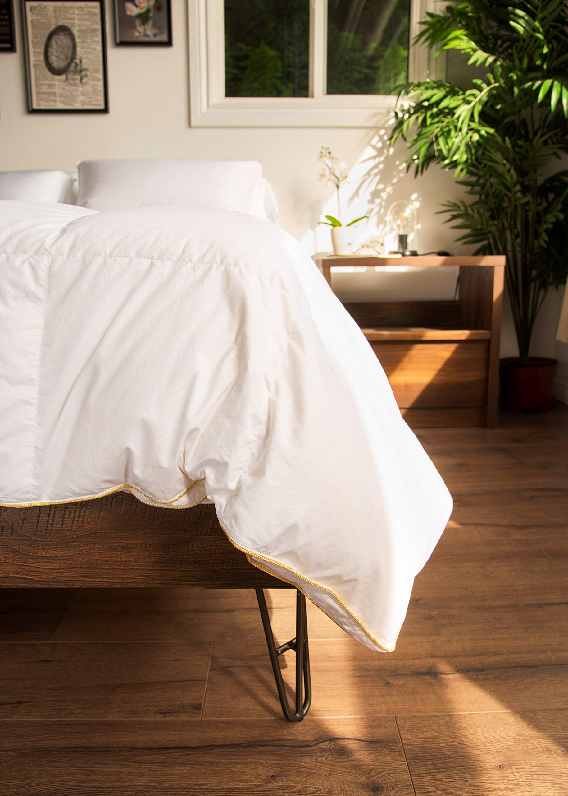 glucksberg european goose down