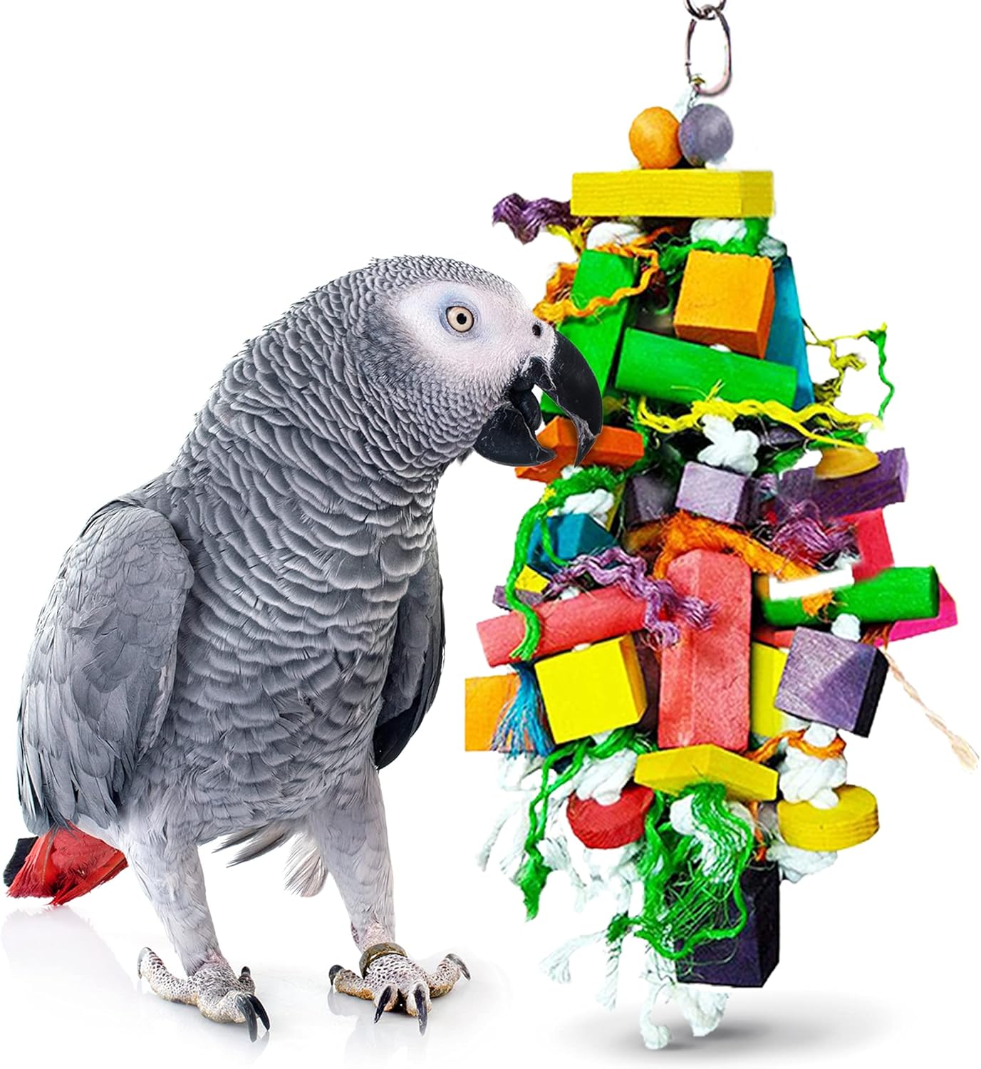 parrots and toys