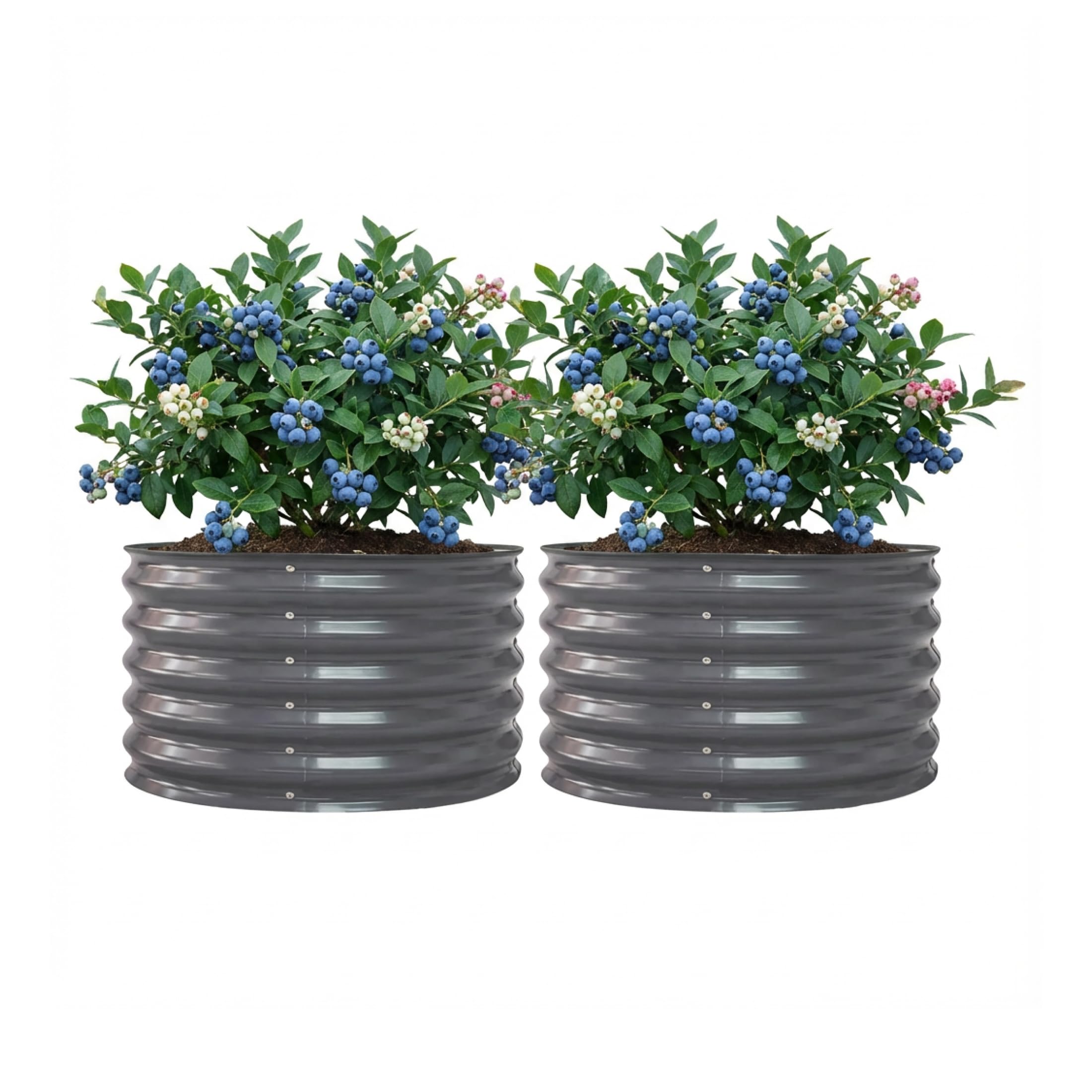Vego Garden 17 Tall Herb and Tomato Twin Pack