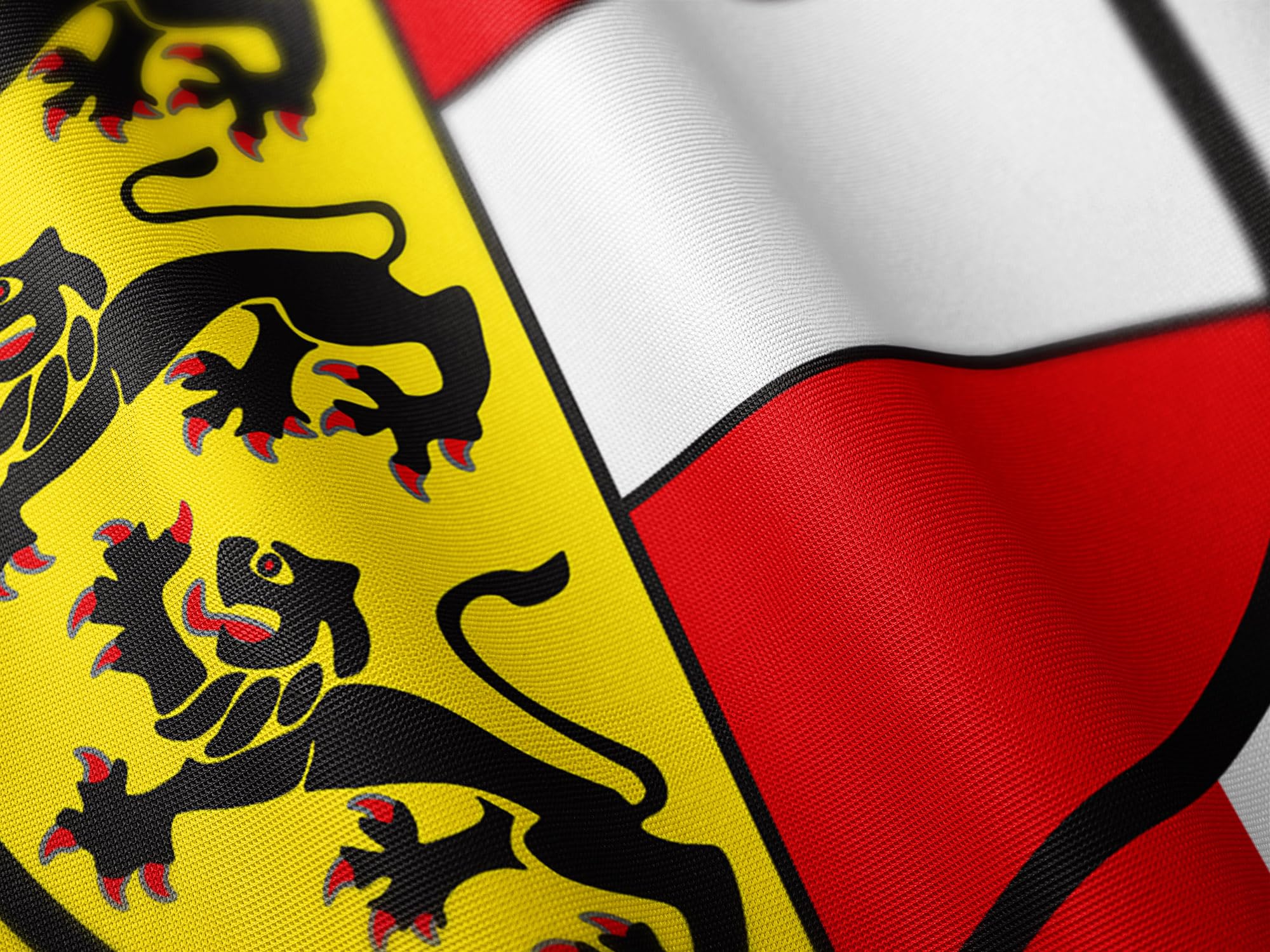 Premium Flagge Kärnten 100x150cm - 115g/m² Stoffgewicht - gedruckt, robustes und witterungsbeständiges Glanzpolyester mit Ösen (100 x 150 cm, Kärnten)