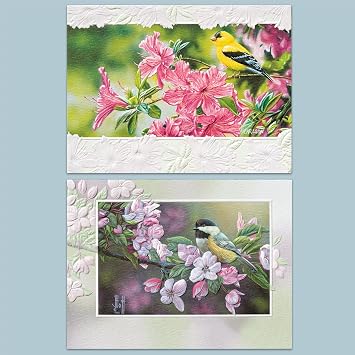 Pumpernickel Press Embossed Small/Petite Blank Note Card Set - Perched Songbirds, 18 Count. Made in USA