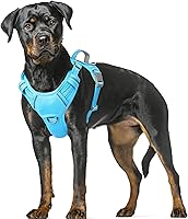Vista 98 de BARKBAY Arnés para Perro Sin Tirones Talla Grande Arnés Reflectante para Perro con Clip Frontal y Asa de Control Fácil para Caminar Entrenar Correr
