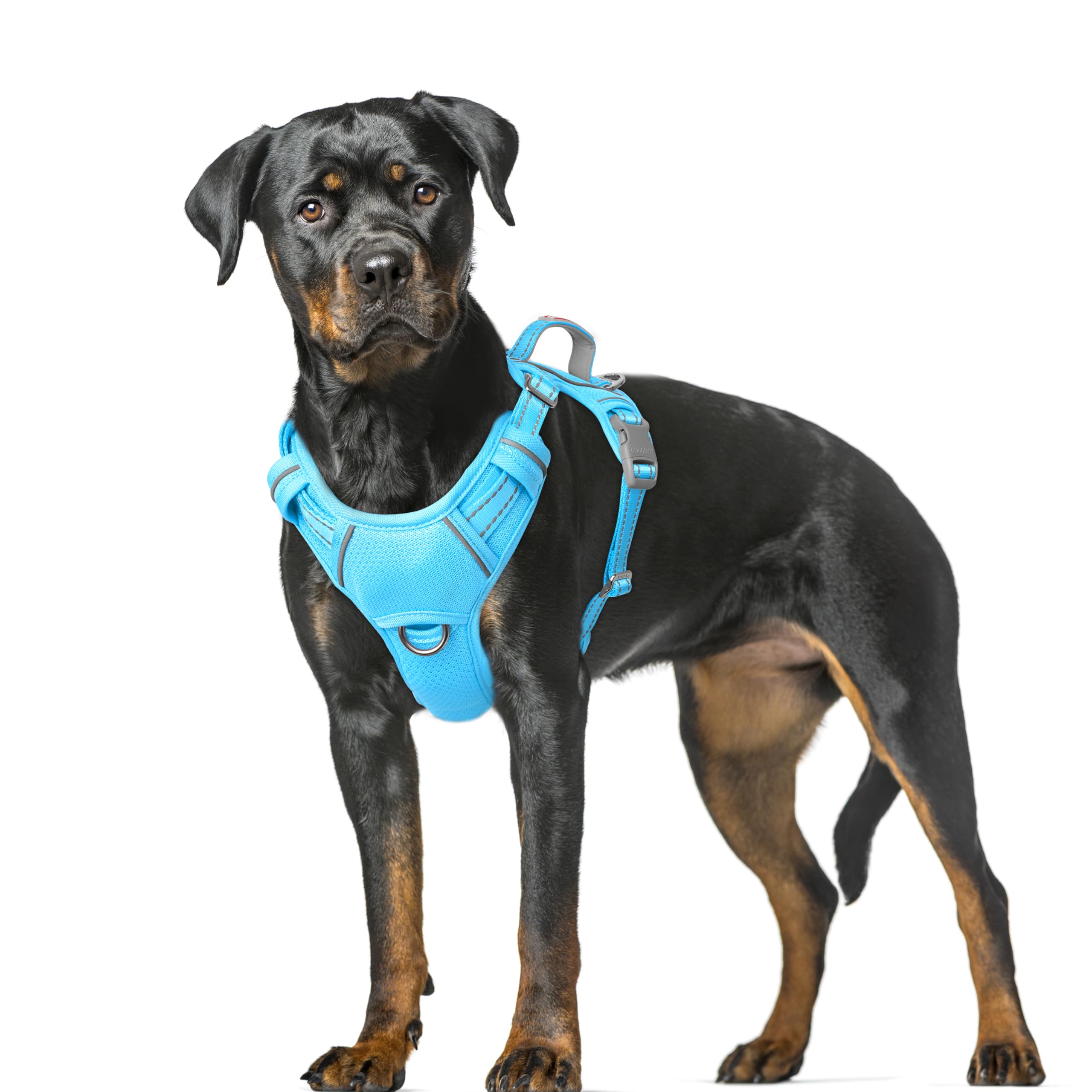 BARKBAY No Pull Dog Harness Large Reflective Dog Harness with Front Clip and Easy Control Handle for Walking Training Running with ID tag Pocket(Blue,