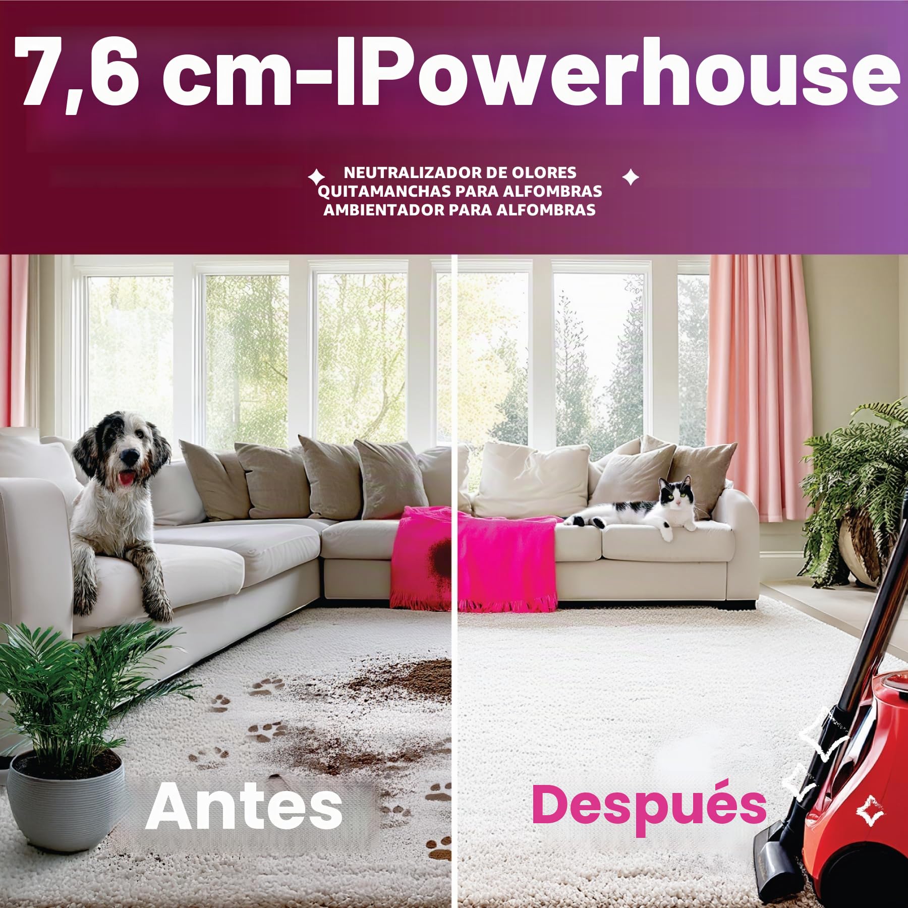 Dirtbusters Fórmula Concentrada 3 en 1 Limpia y Desodoriza Moquetas y Tapizados. Elimina y Neutraliza los Malos Olores. Apto para Aspiradoras y Materiales Delicados. Aroma a Fresco 5 Litros.
