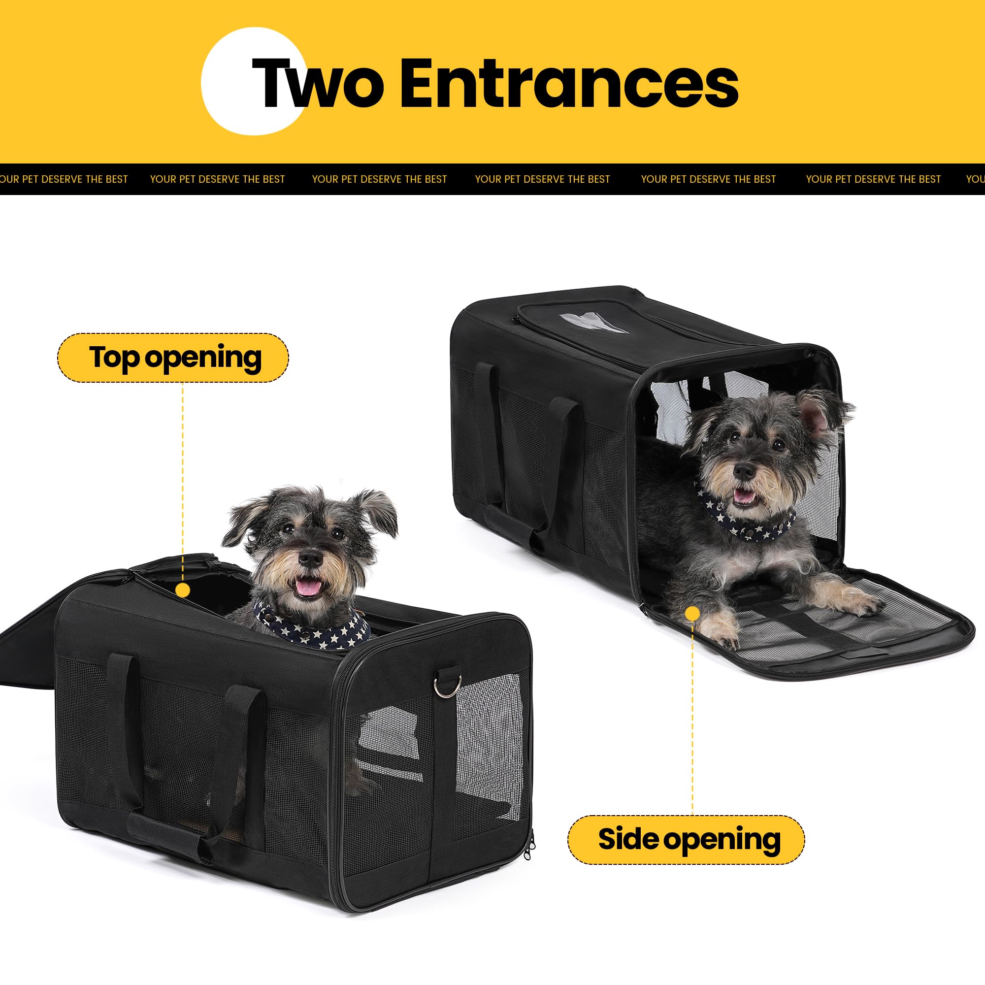 Hitchy Trasportino Gatto/Trasportino Cane per Gatti, Cani Di Piccola Taglia, Gattini O Cuccioli (L)