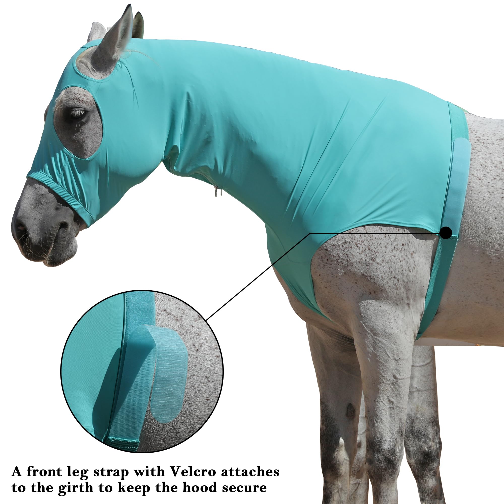 Horse Stretch Hood with Zipper, Full Face & Neck Cover for Sweet Itch Protection - Image 4