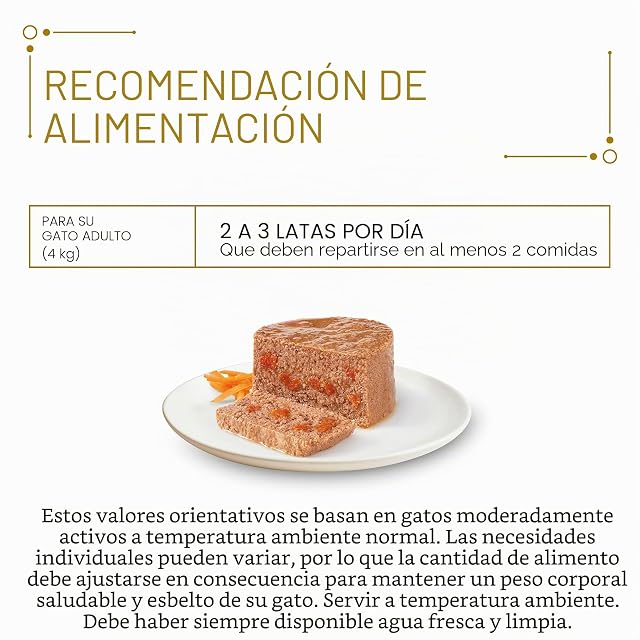 Foto 5 de 6 de Gourmet Purina Gold - Pasta Fina para Gatos, alimento húmedo (12 latas de 85 g)