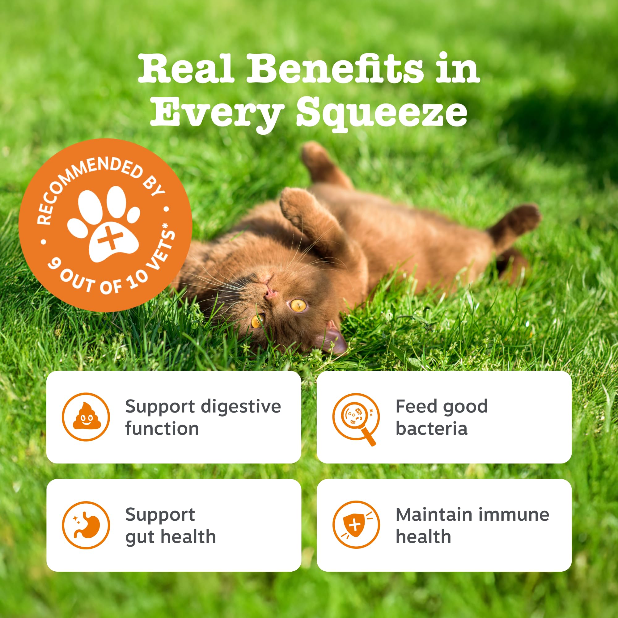 Zesty Paws Digestion & Prebiotics Paste for Cats, 75ml - Image 3