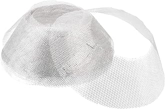 Hemoton 10Pcs Range Hood Filter Net Range Hood Vent Grease Filter Premium Kitchen Range Hood Filter Iron Ventilator Strainer Mesh Net for Kitchen Cooker Replacement Accessories 19. 5X19. 5X7. 5CM