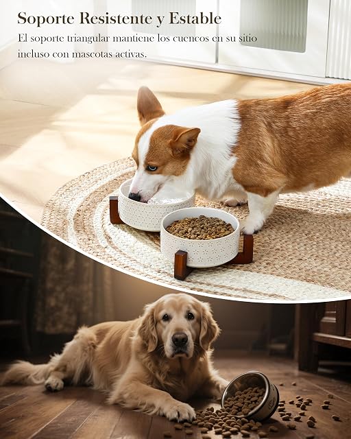 Foto 6 de 8 de MALACASA Juego de cuencos para perros con soporte de madera de nogal