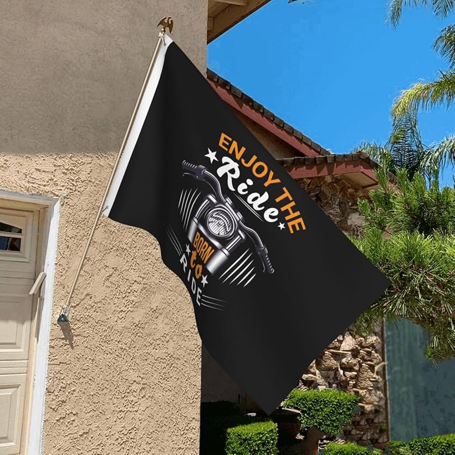 The Birthday「RAISE YOUR BLACK FLAG The…」 Prime Video: The Abrafaxe: Under the Black Flag