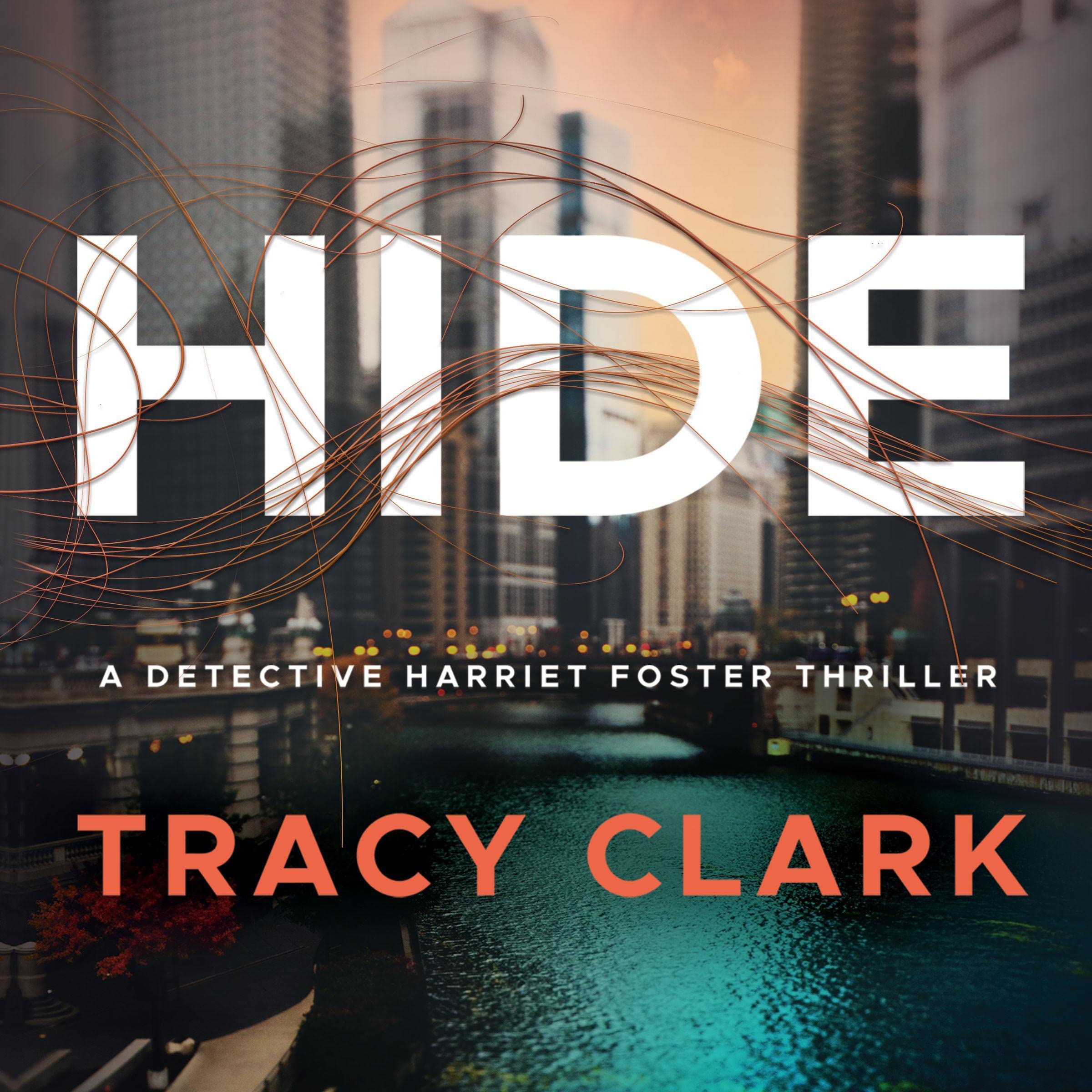 Cover art for Hide