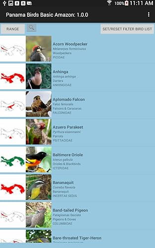 Panama Birds FGuide Basic