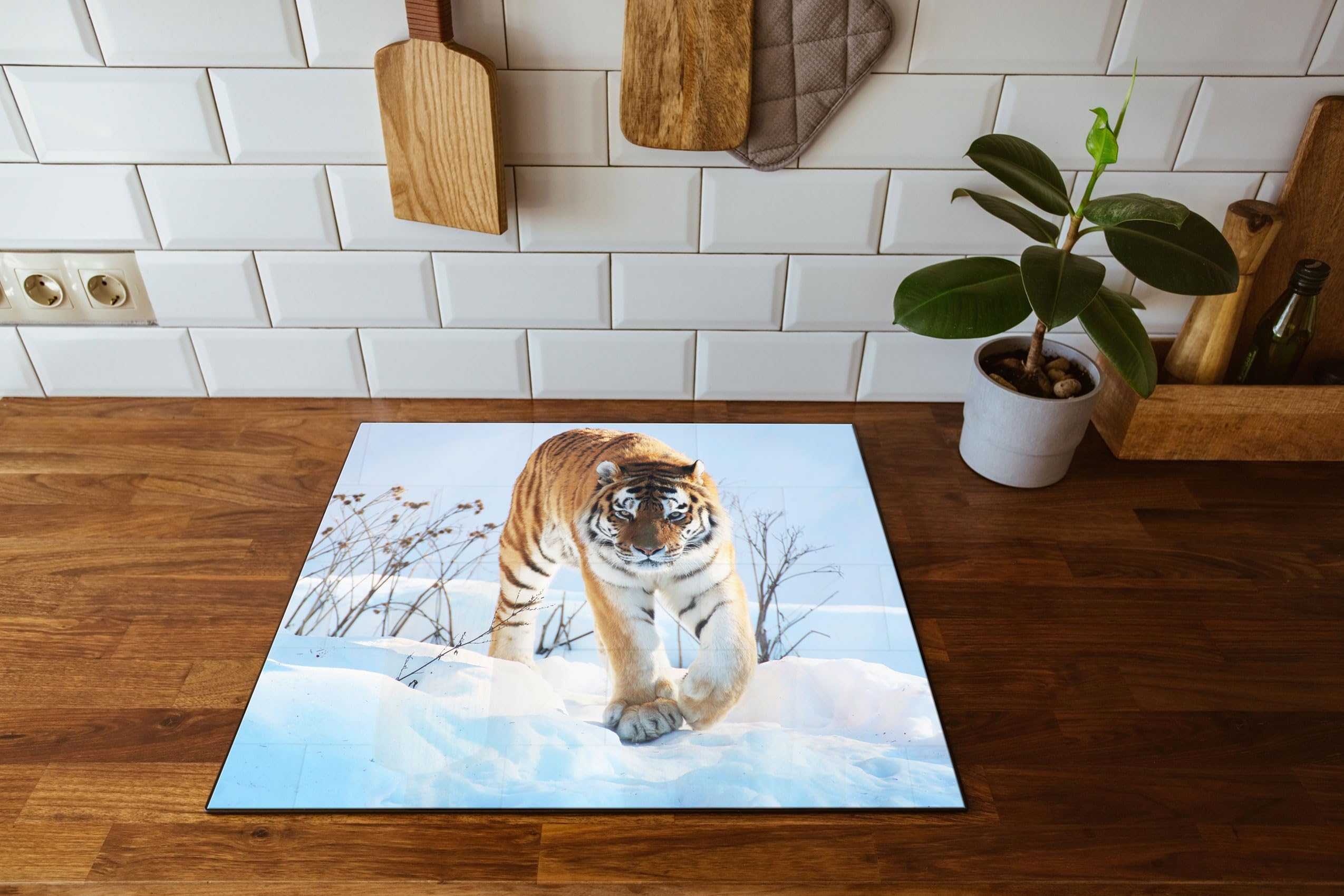 Stolzer Tiger im Snow Plaque de protection pour cuisinière et protection anti-éclaboussures en verre véritable 60 x 52 cm