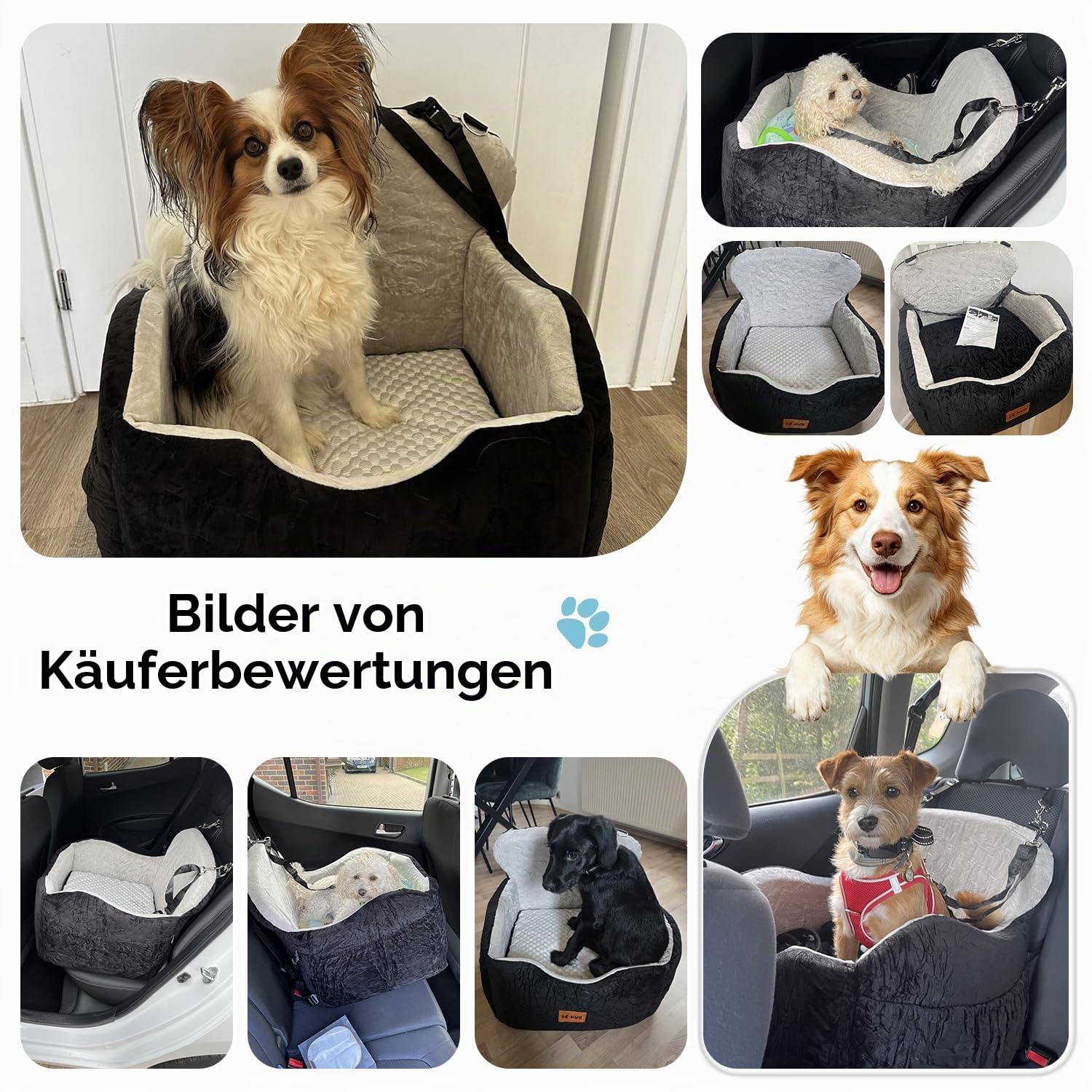 KYG Hunde Autositz für Kleine bis Mittlere Hunde unter 35 lbs | Ganzjährig nutzbar, Extra Stabiler, Waschbarer, Wasserdichter, Zwei Sitzkissen unterschiedlicher Höhe