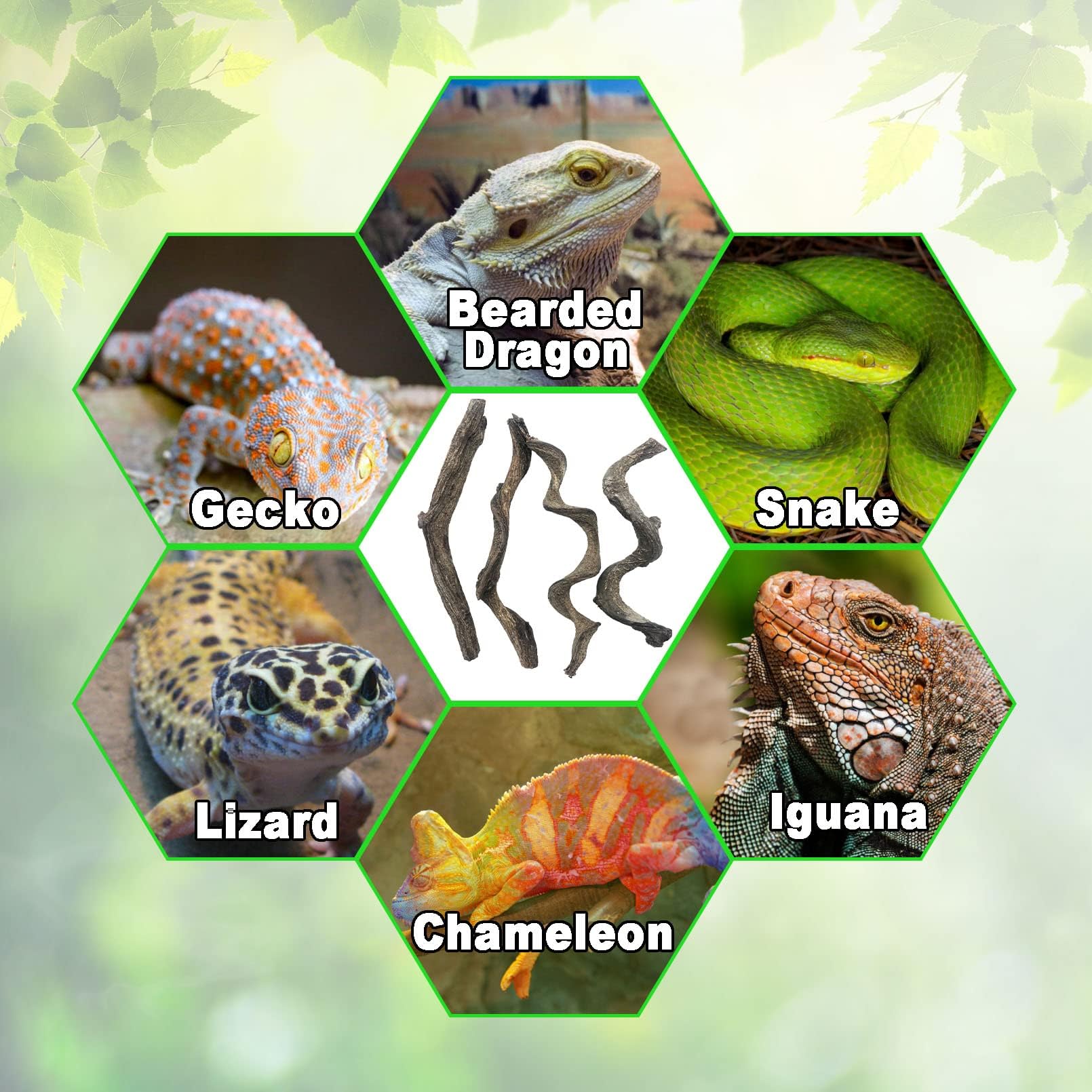 Rama de madera de reptil lagarto escalada vides serpiente terrario decoración de tanque de gecko decoraciones para cangrejo ermitaño dragón barbudo 4 piezas