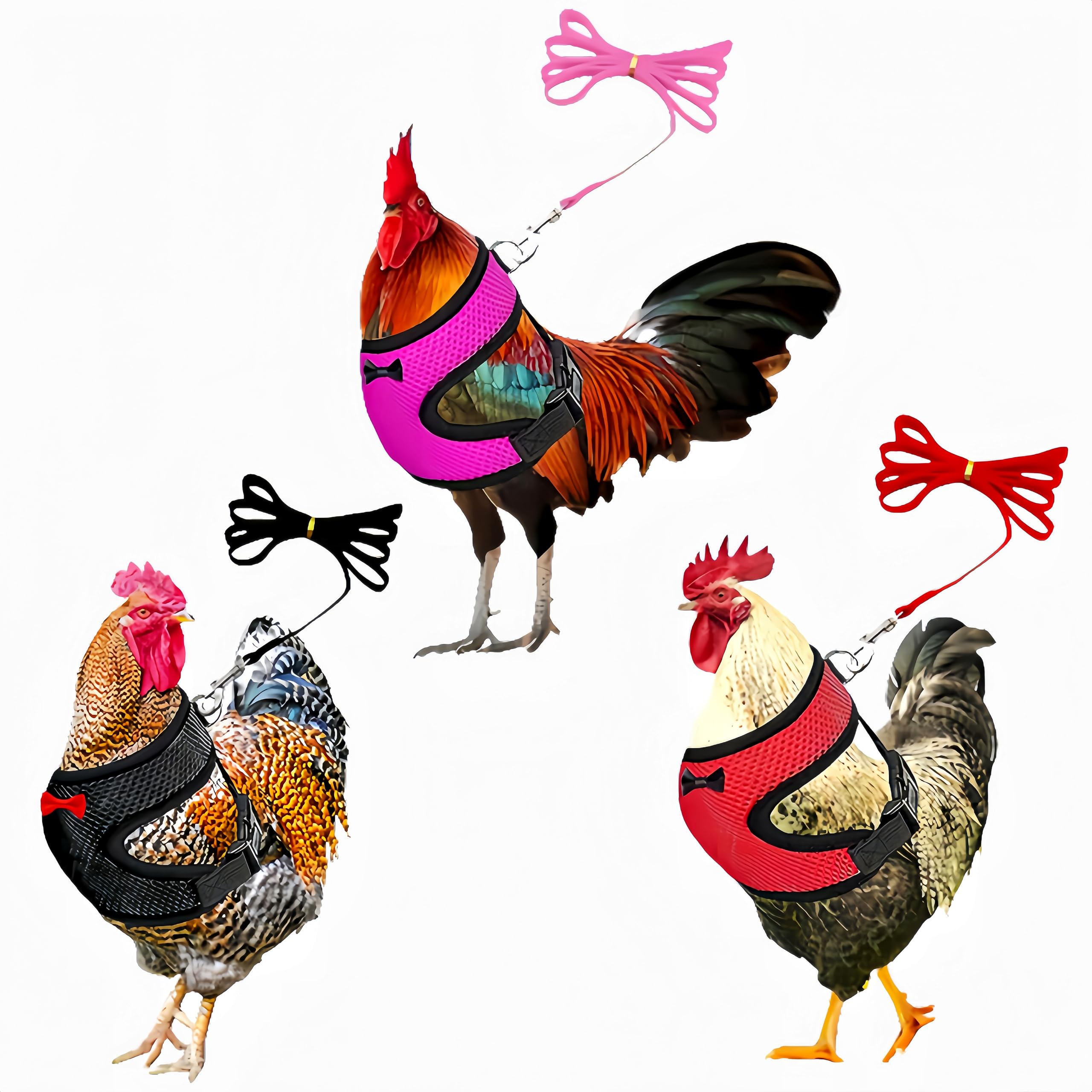 3 Pack Chicken Harness and Leash Set Adjustable Hen Vest with Matching Belt Breathable Mesh Training Harness Pets Leash for Hens Duck Goose Small Pet-Black&amp;Red&amp;Pink,M