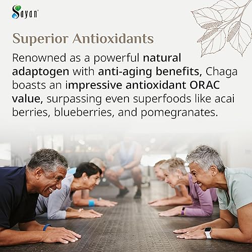Miniatura 7 de Sayan Polvo de chaga grueso siberiano crudo de 4 onzas (3.99 oz) de té de hongos cosechados salvajes, potente suplemento antioxidante adaptógeno