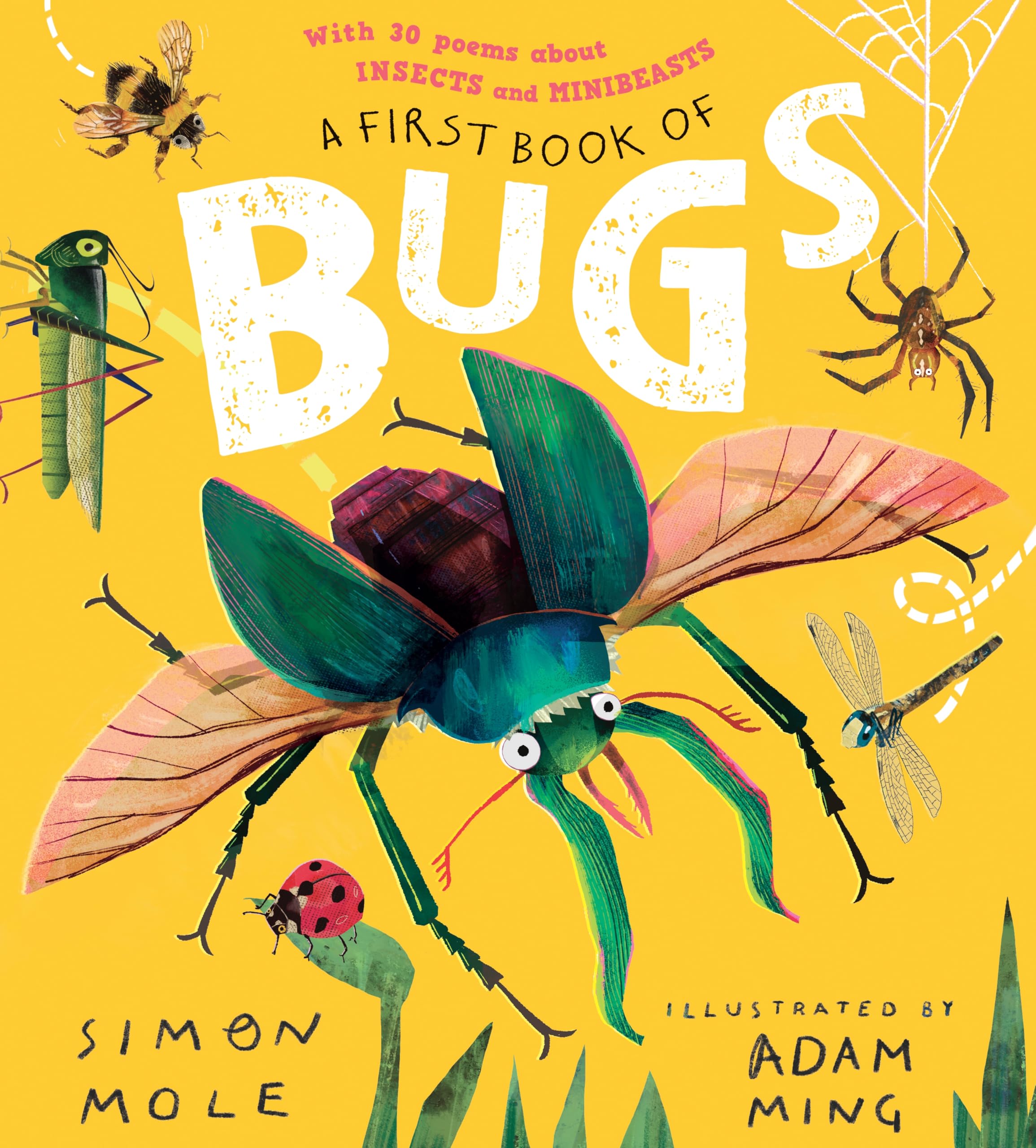 A First Book of Bugs: with 30 poems about insects and minibeasts by Simon Mole