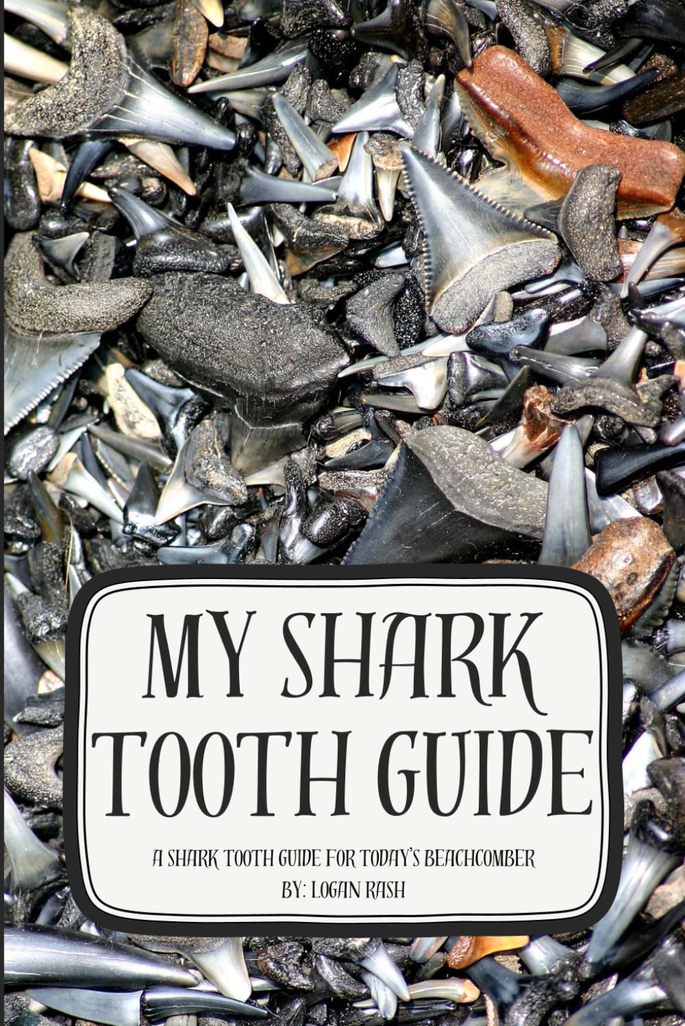 My Shark Tooth Guide: A Shark Tooth Guide for Today’s Beachcomber (Shark Tooth Identification)
