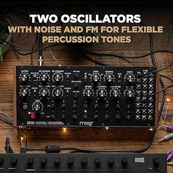 Amazon.com: MOOG DFAM Semi-Modular Analog Percussion