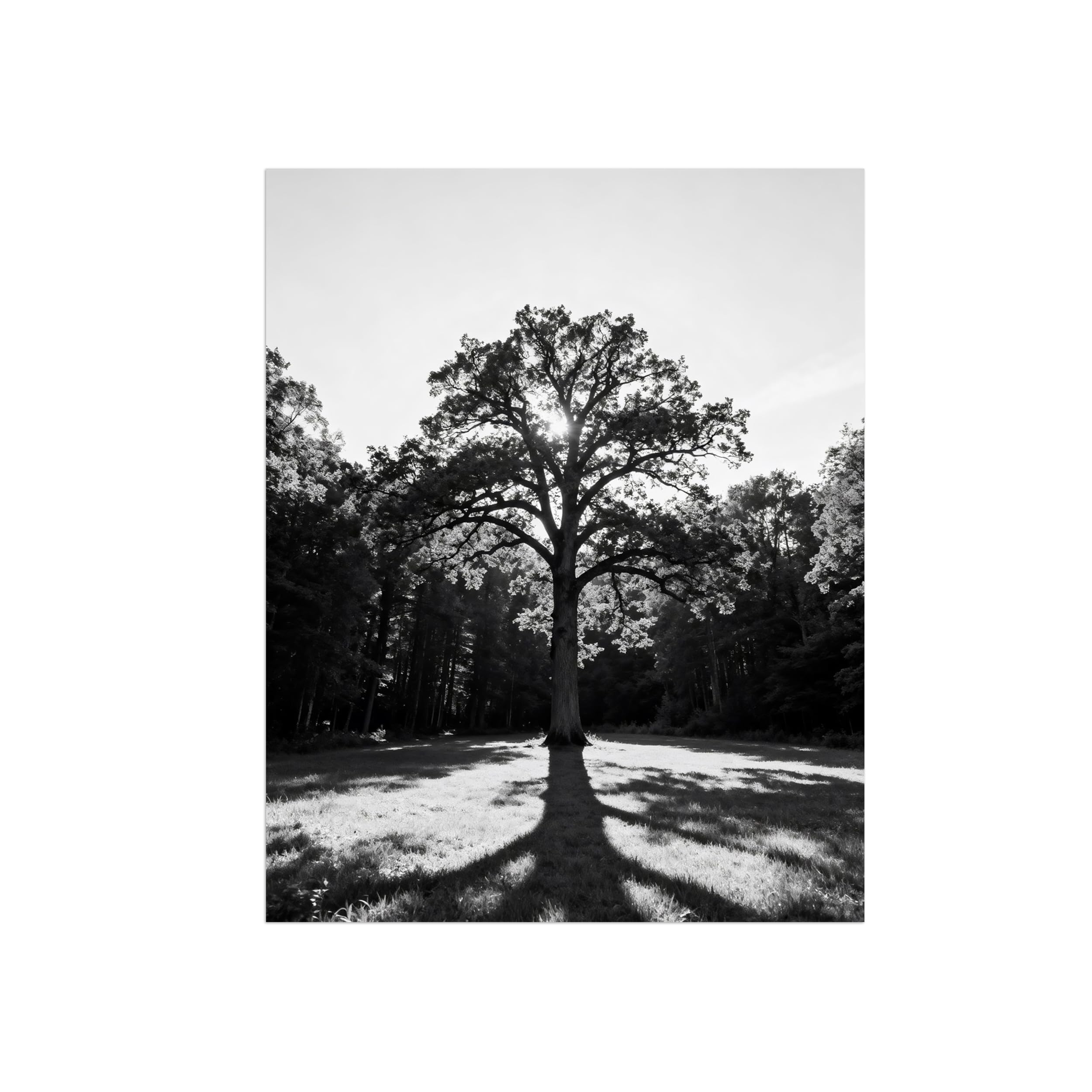 OZPWBVY Tree Meadow Black White Landscape Wall Art Prints 90x117cm Unframed