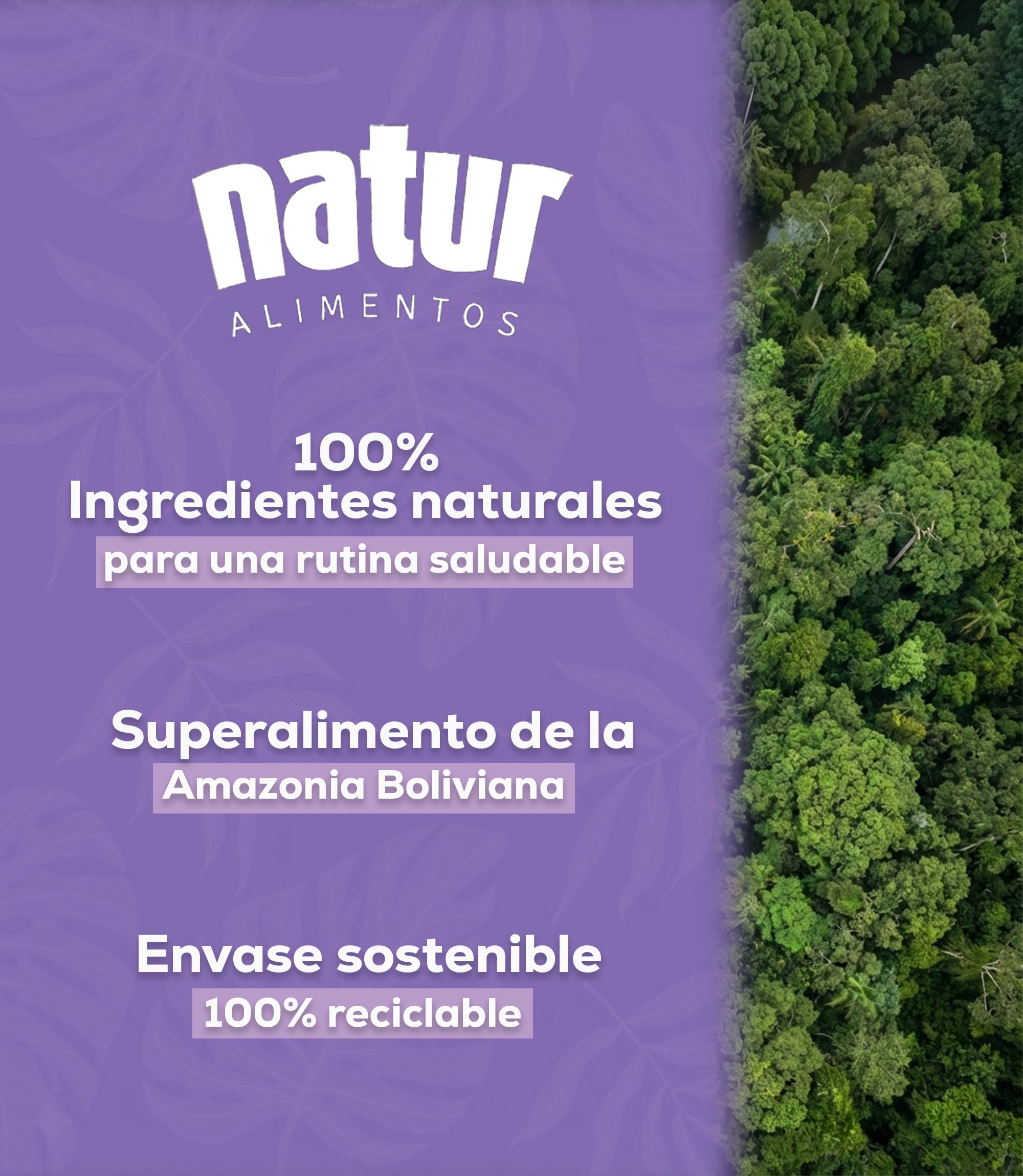 Acai en Polvo Puro Liofilizado Superalimento Natural de la Amazonía Rico en Antioxidantes Vegano No GMO Ideal para Batidos Postres Recetas Saludables 100g