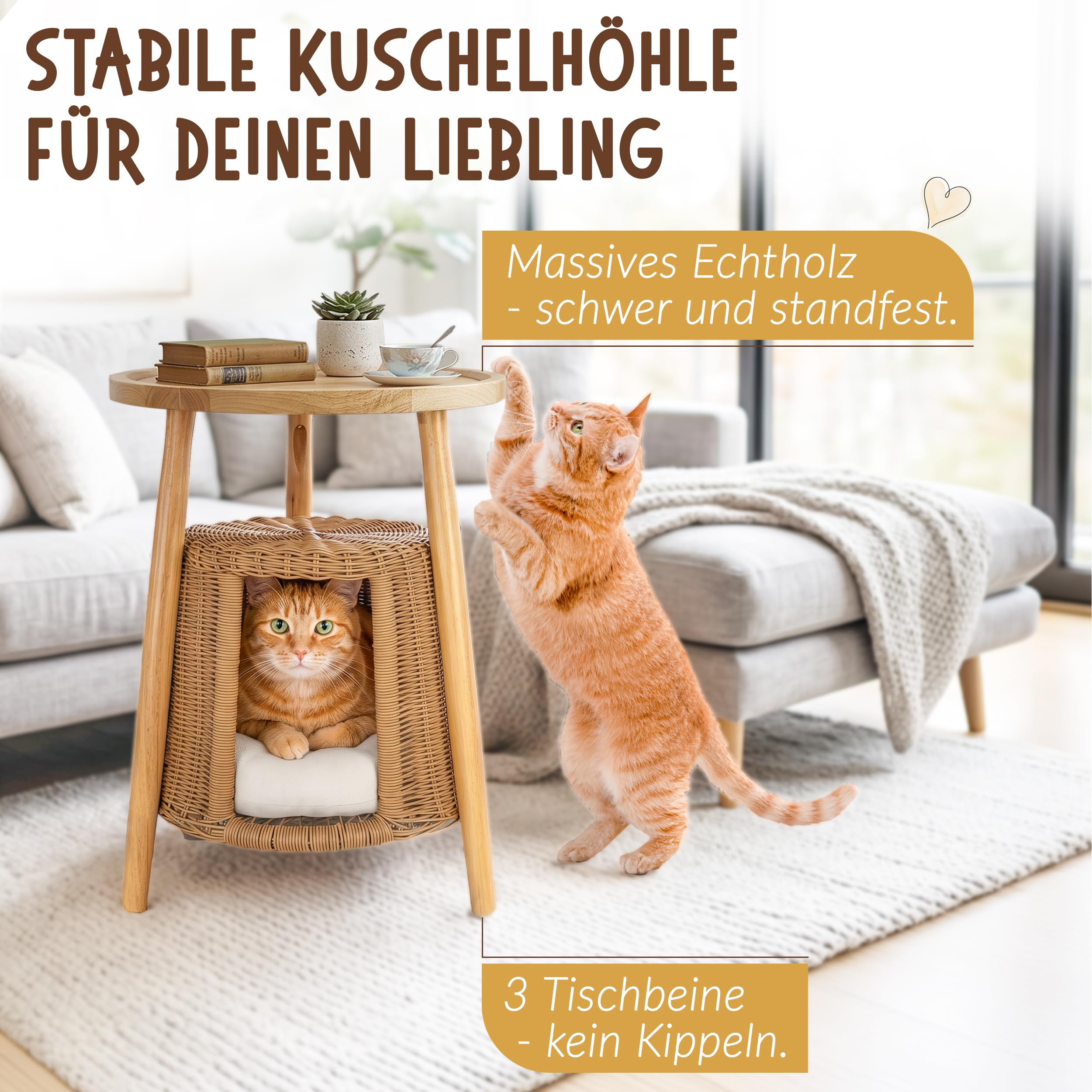 Petigi Katzentisch Beistelltisch Rattan Katzenhöhle Katzenbett Couchtisch | aus Holz und Rattan, Natur, 47 x 44 x 62 cm, waschbares Kissen, kippelt nicht, Massivholz