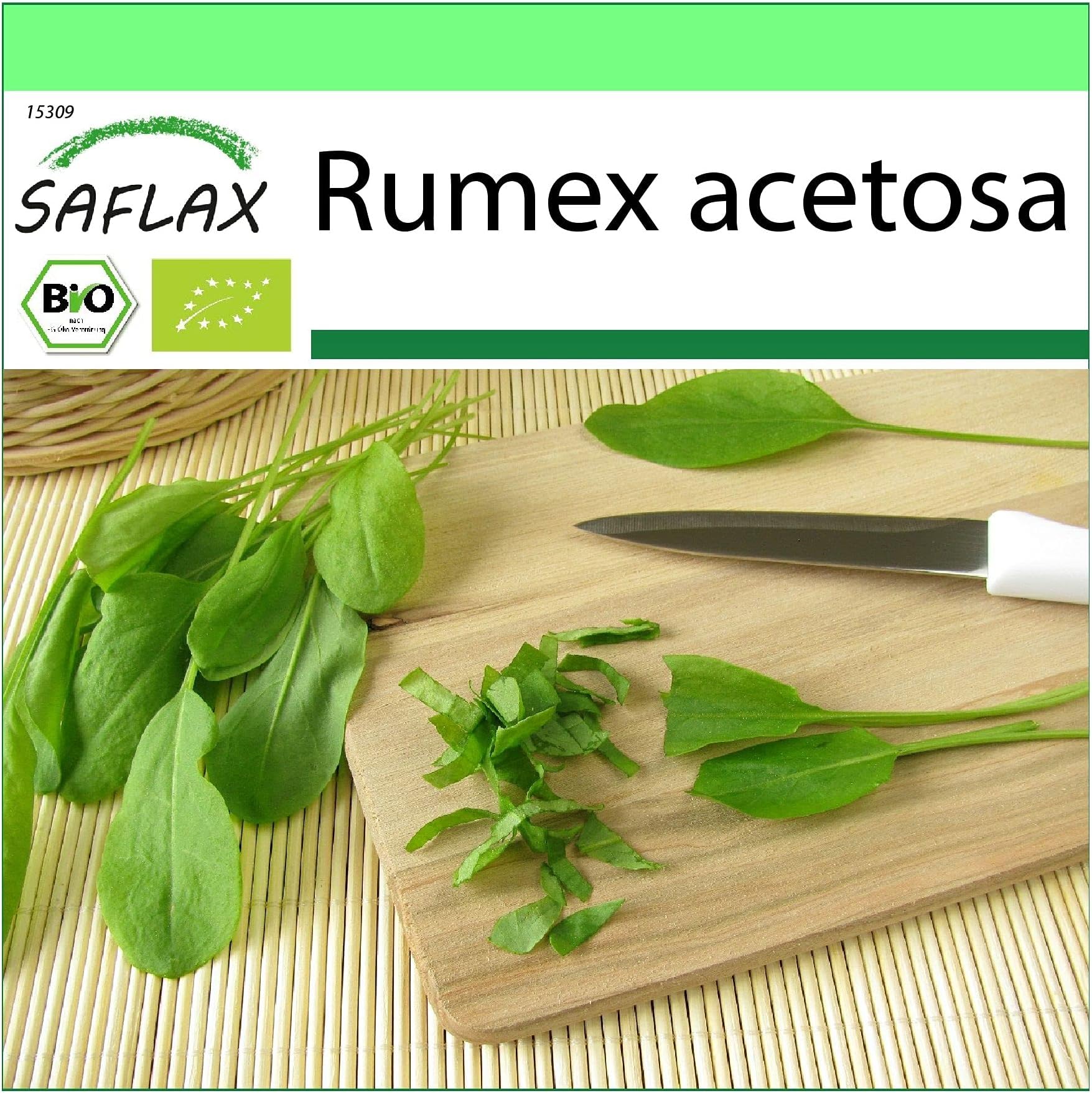 SAFLAX - Organic - French Sorrel - 400 Seeds - Rumex acetosa