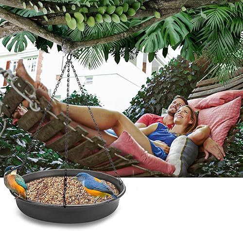 Miniatura 7 de CARGEN - Comedero colgante para pájaros, plato de comedero para pájaros, murciélagos, pájaros, bandeja para colgar, para colgar agua o semillas de