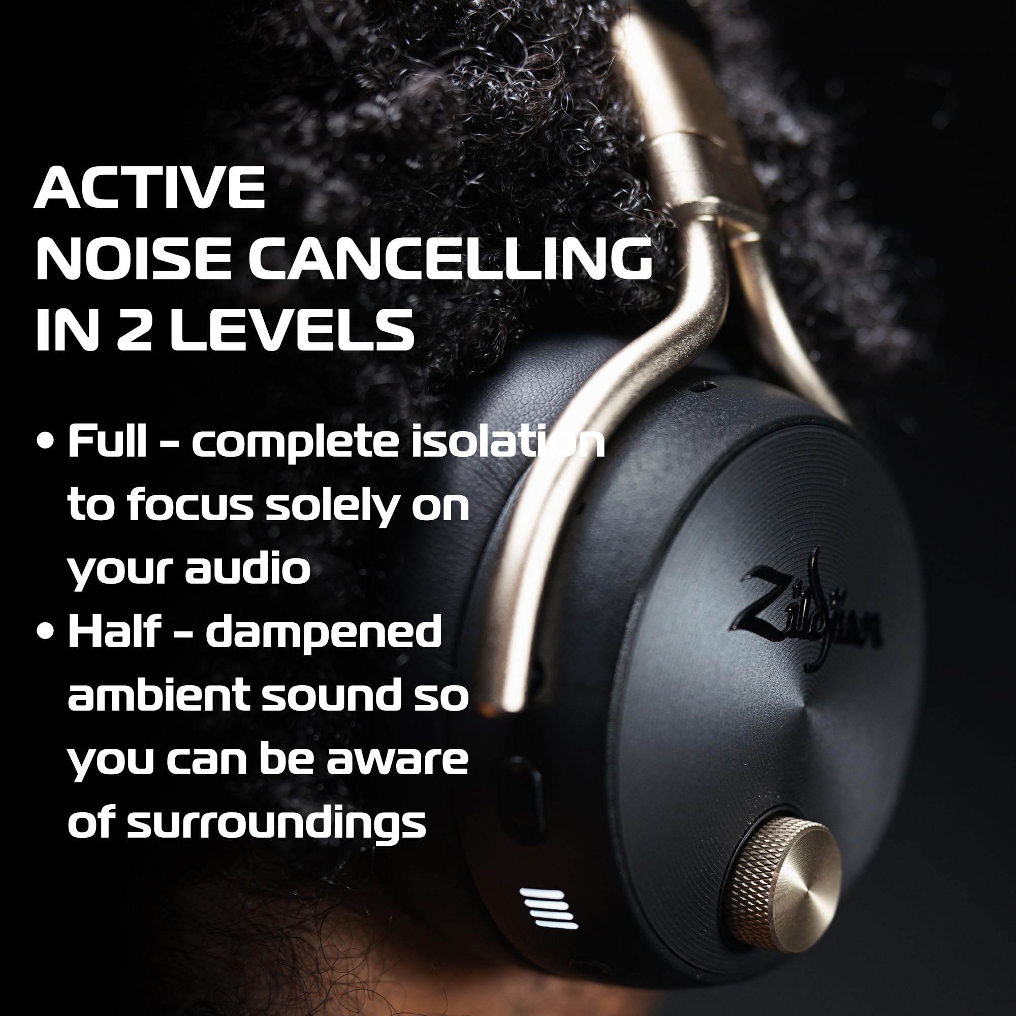 Amazon.co.jp: ジルジャン Zildjian ALCHEM-E Perfect Tune オー