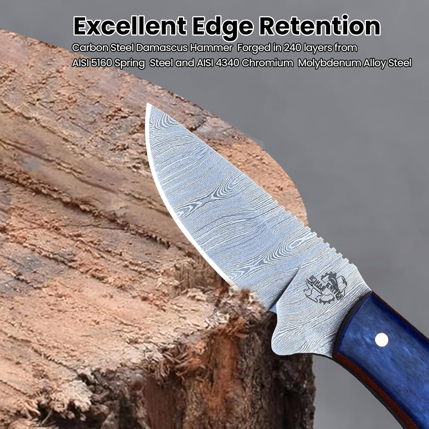Knives Ranch EDC Fixed Blade Knife, Damascus Skinning Knife, Cattle Bone Handle and Horizontal Carrying Sheath Snug Fit (2006-BLU)