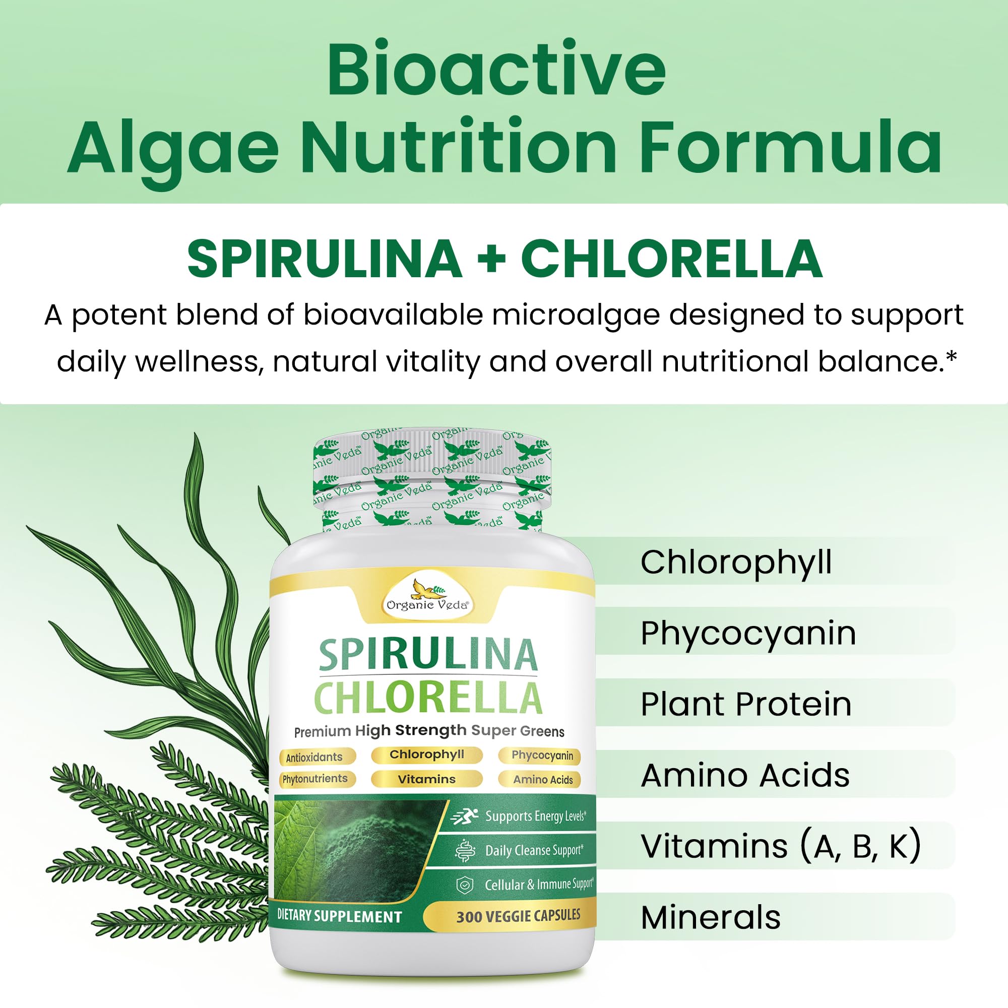 Organic Veda Spirulina Chlorella Capsules, 1500mg, 300 Count -Chlorella Spirulina Powder Supplement with Super Green Antioxidants, Phycocyanin, Amino Acid - Organic Chlorophyll Pills — Amazon image 3