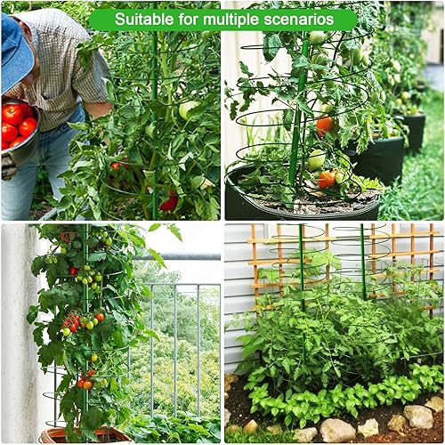 Miniatura 7 de AMAGABELI GARDEN & HOME Paquete de 2 jaulas de tomate de 42 pulgadas, soporte para plantas de jardín, macetas, jaulas, guisantes, pepino, enrejado,