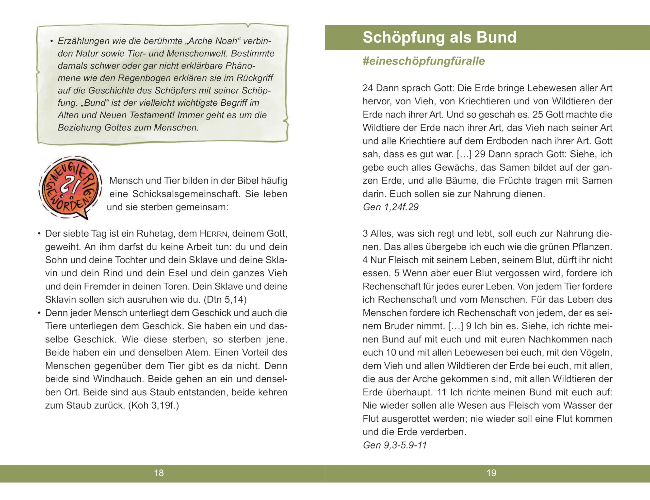 Die Jugendbibel Alles was zählt