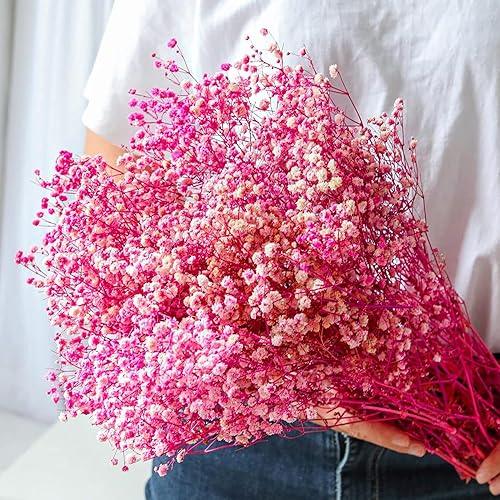 Más de 3000 ramos de aliento de bebé rosa seco, flores secas de 17.2 pulgadas, ramas de gypsophila naturales para decoración del hogar, boda,
