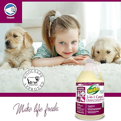Miniatura 2 de OdoBan Professional Series 3 en 1 limpiador concentrado de alfombras, fabricado en los Estados Unidos, juego de 2, 1 galón cada uno