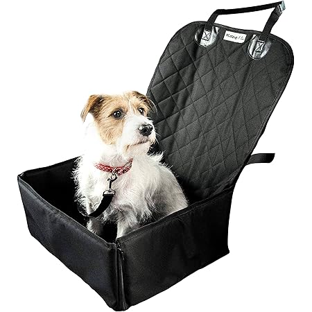 puppy car safety