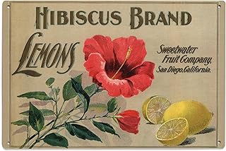 Lantern Press 6x9 Inch Wood Sign, Ready to Hang Wall Decor, Hibiscus Brand, San Diego, California, Citrus Crate Label