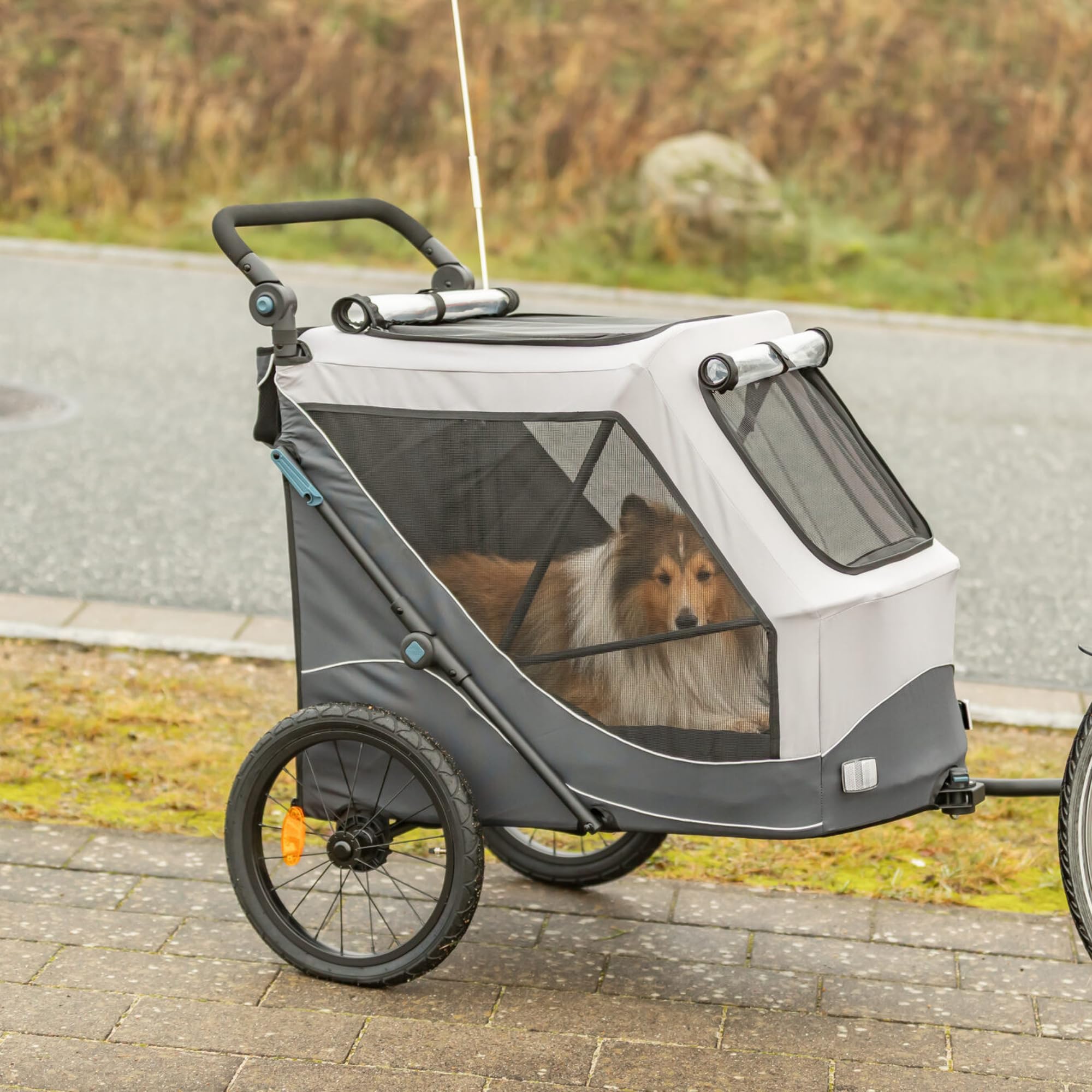 Trixie remorque vélo pour Chien 40 x 40 x 60 cm Jusqu’à 15 kg – remorque vélo réfléchissante avec Fonction de Pliage Rapide – avec Coussin et Laisse intégrés