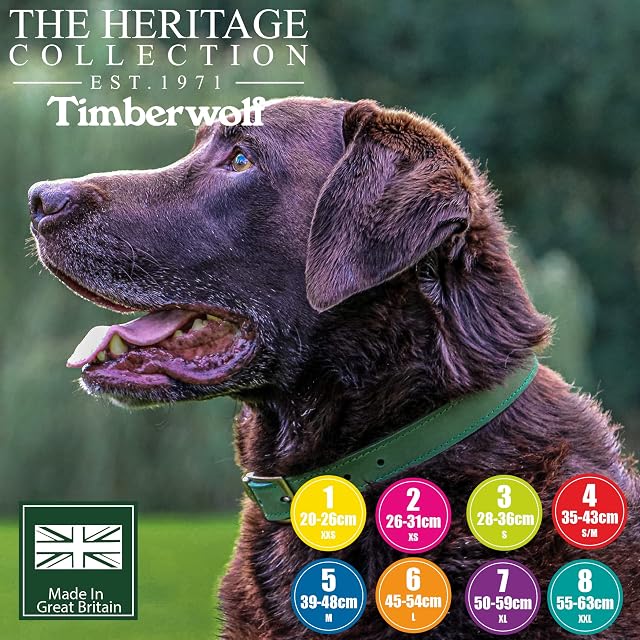 Foto 3 de 6 de Ancol Timberwolf - Collar de Perro de Piel Resistente y cómodo, Accesorio de Entrenamiento para Mascotas…