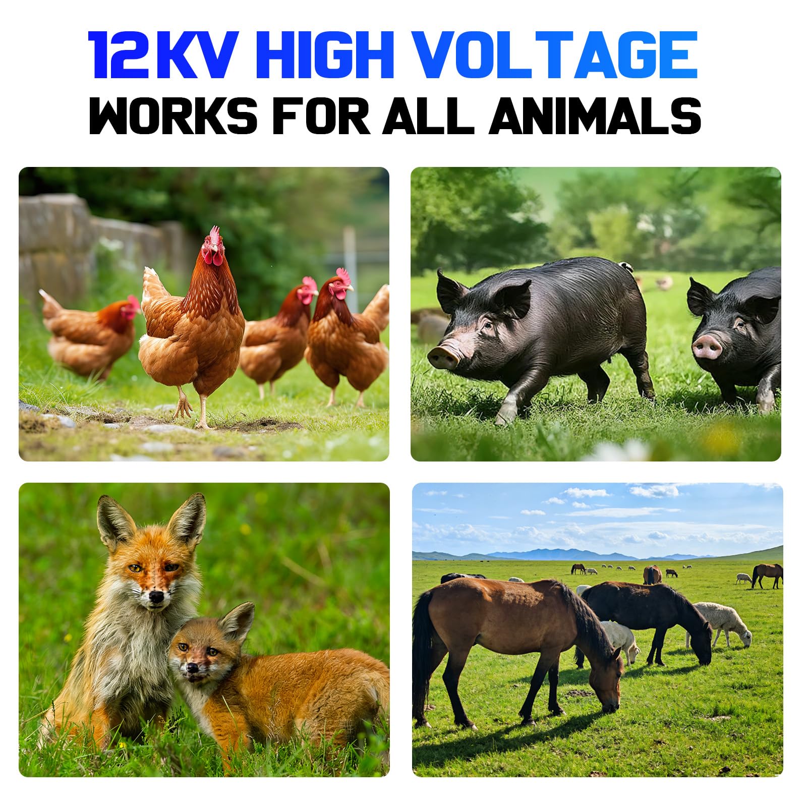 Pastor Eléctrico 12KV 4 Julios, Alcance 24KM para Granja y Pastizal - cerca eléctrica Controlador, Opciones de Corriente/Batería/Solar, para Vacas, Caballos, Ovejas, Cabras, Jabalíes