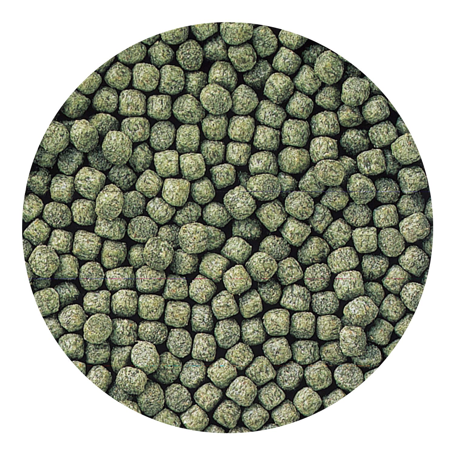 Nourriture bassin Hikari Staple Mini 10 kg