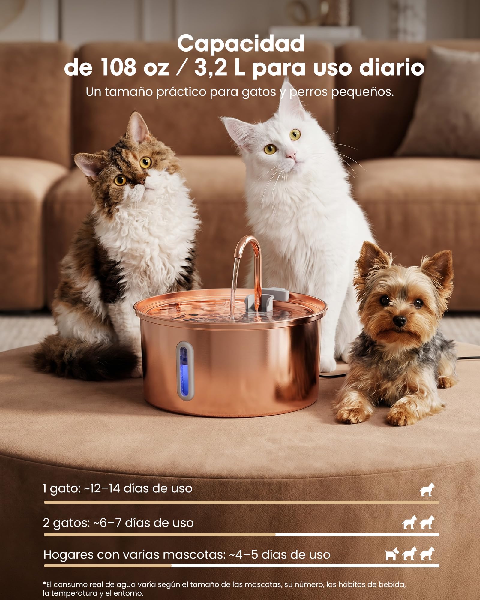 Kittyspout Fuente para gatos de 3,2 l de acero inoxidable, con 3 filtros y ventana | Fuente de agua silenciosa para gatos y perros pequeños con suave iluminación LED, superficie de cobre