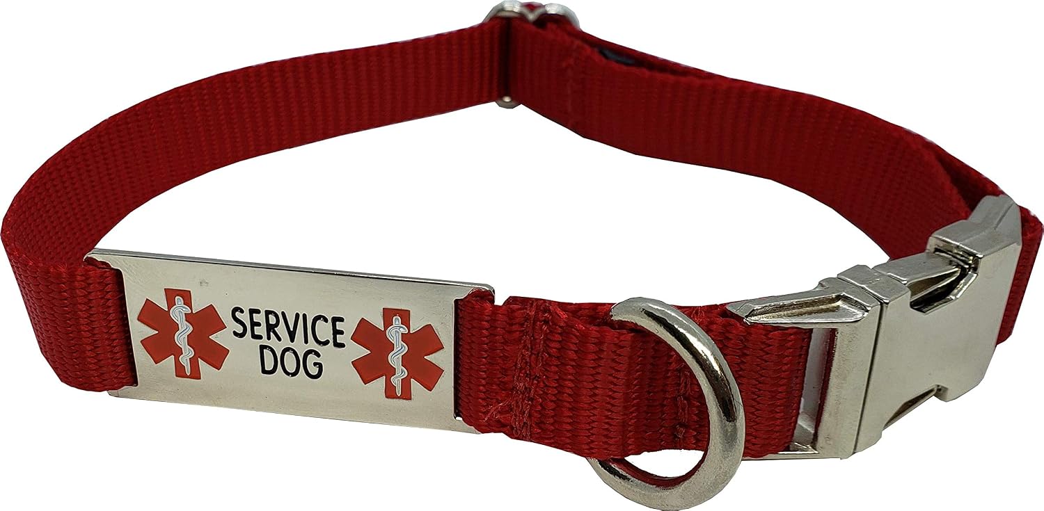 ActiveDogs Premium Small 11"-15" Adjustable Working K9 Dog Collar w/Heavy Duty Chrome Service Dog Tag - Red